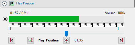 Figure 2.  Play Position group showing markers and guides